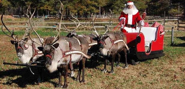 Santa and reindeer at Pettit Creek Farms in Cartersville, Georgia
