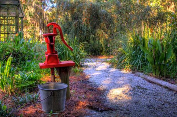 Savannah Botanical Gardens