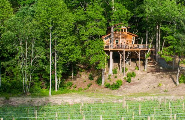 Blue Ridge Treehouse at Bear Claw Vineyards in Blue Ridge, Georgia
