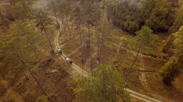 Aerial view of hunting at Wynfield Plantation in Albany, Georgia