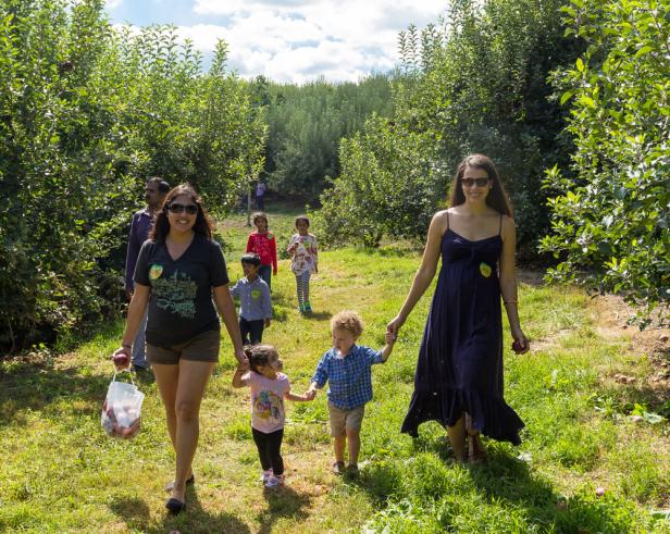 apple picking at B.J. Reece Orchards in Ellijay, Georgia