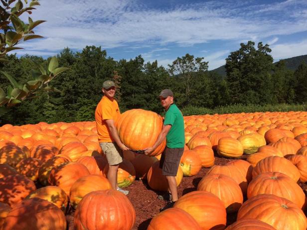 Burt's Farm pumpkin patch in Dawsonville, Georgia