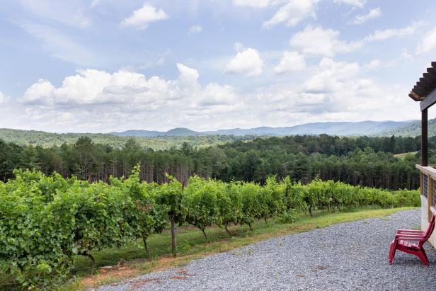 Scenic view of Ott Vineyards and Winery in Ellijay, Georgia