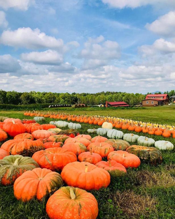 10 Best Things to Do this Fall in (Updated for 2022) Official