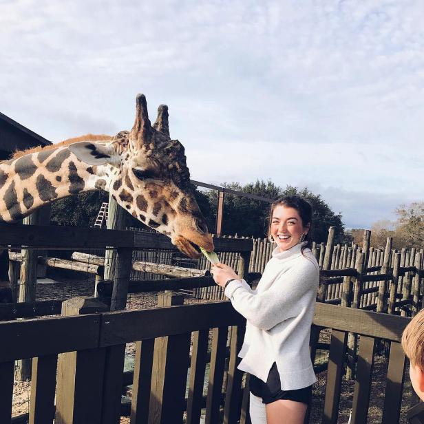 Feeding a giraffe at Wild Adventures Theme Park in Valdosta, Georgia. Photo by @julianna_collett