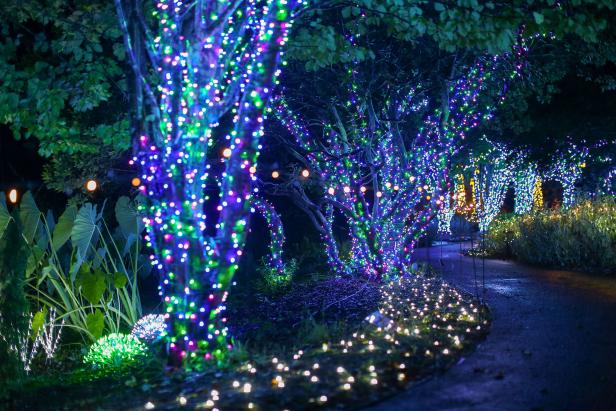 Christmas Lights 2022 Covington Ga 10 Holiday Light Displays In Georgia (Updated 2021)
