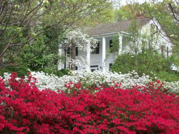 Spring at Smith Plantation