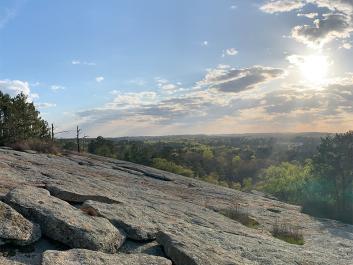 Panola Mountain, a National Natural Landmark and one of the green jewels of the Arabia Mountain National Heritage Area, supports rare and vibrant wildlife.
