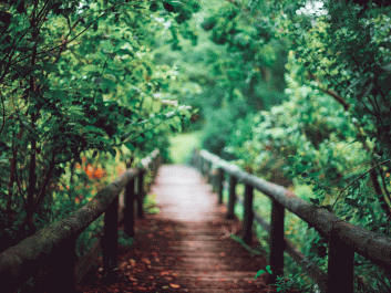 Bartram Forest in Milledgeville, Ga