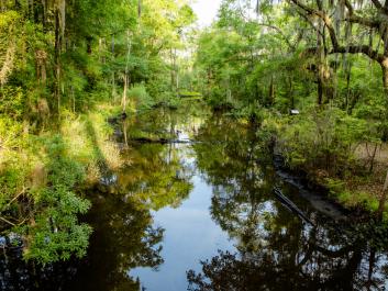 The Baptismal Pool-Photo by Ralph Daniel