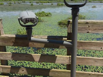 Big Haynes Creek Nature Center wetlands