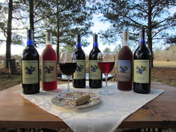 Here are our six brands of 100% Blueberry Wines