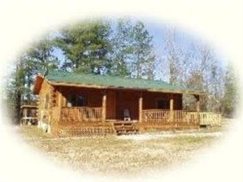 Shade Tree Cabins