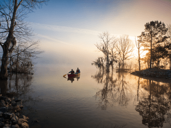 Paddle and Fish