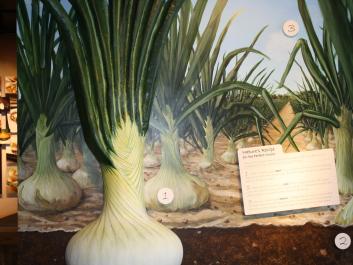 Vidalia Onion Museum
