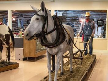 West GA Museum of Tallapoosa