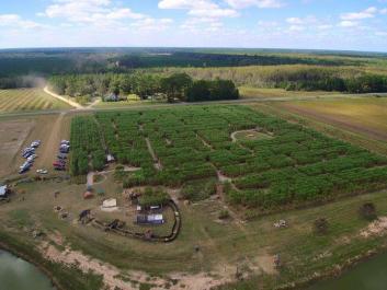 Aerial view of A-Maze-N-Cane
