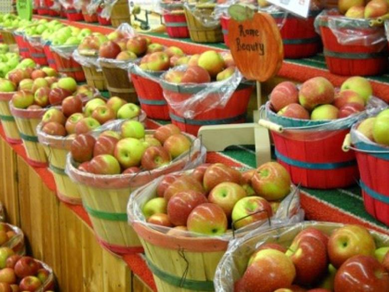 Apple Festival Official Tourism & Travel Website Apple Festival Official Tourism & Travel Website