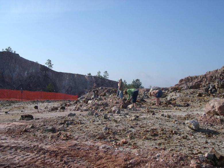 Rock Swap & Dig Official Tourism & Travel Website Explore