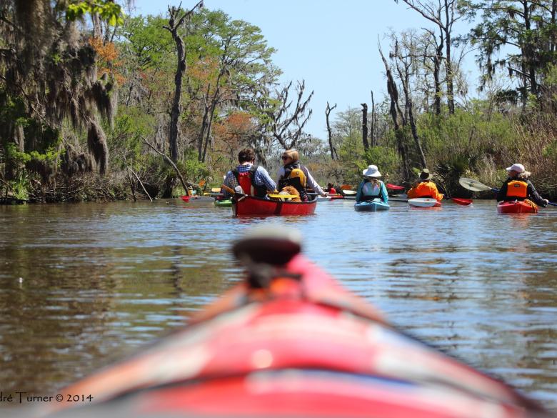 Altamaha River Weekend Paddle Official Tourism & Travel
