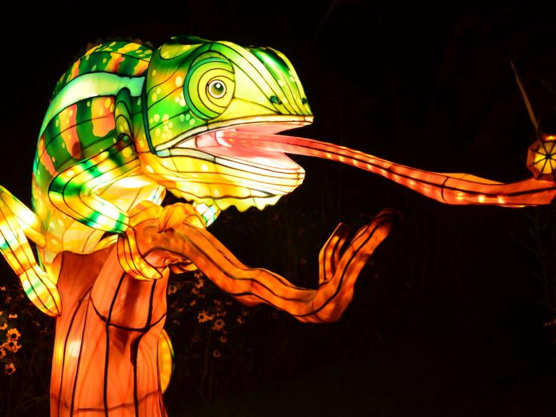 IllumiNights at the Zoo A Chinese Lantern Festival Official