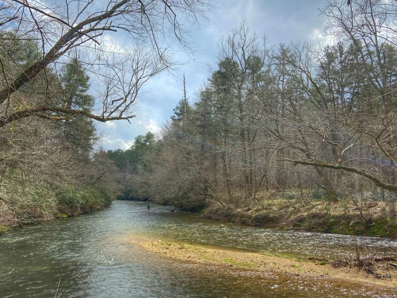 Dawson Forest Wildlife Management Area Official Tourism