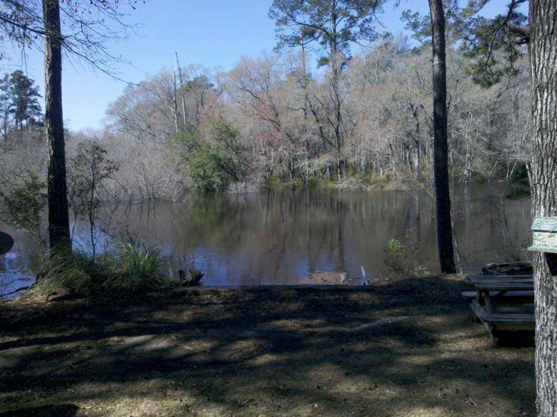 Satilla River Cottage House Plan House Design Ideas