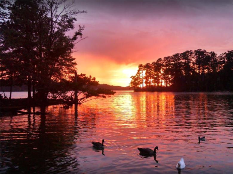 Lakeview Restaurant Official Tourism & Travel Website