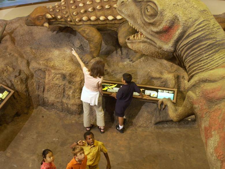 Fernbank Museum Of Natural History Official Georgia Tourism