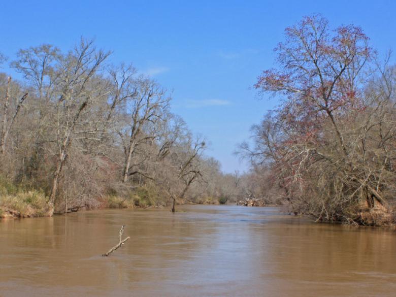 Flint River Wildlife Management Area Official Tourism