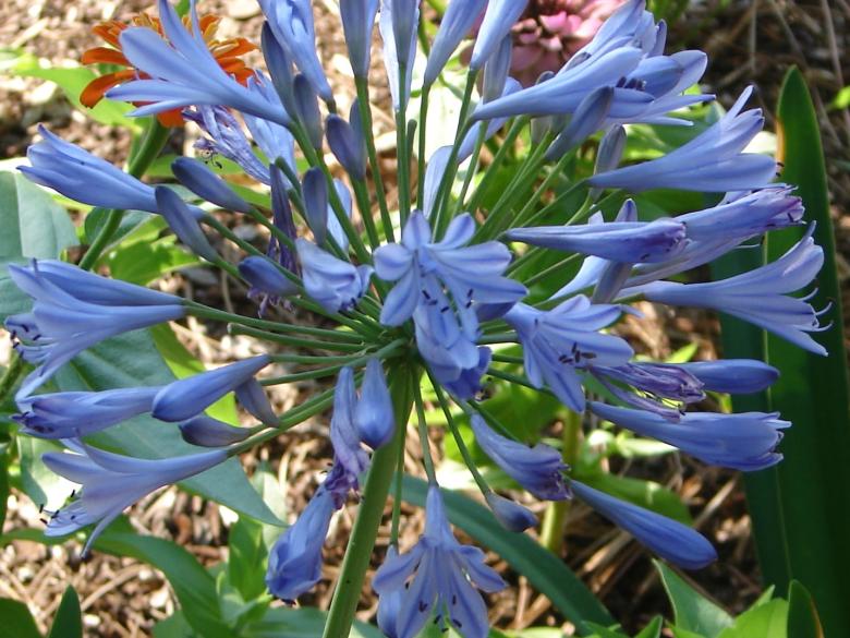 Fulwood Garden Center Official Tourism & Travel site