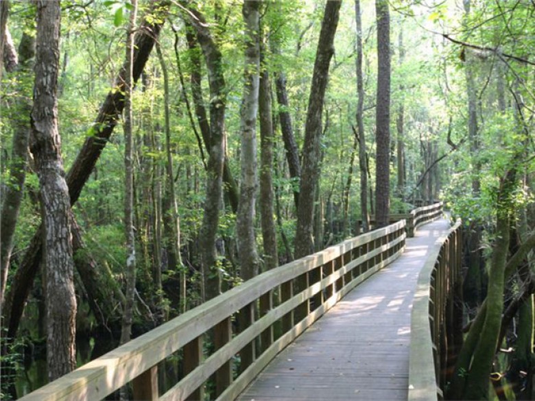 General Coffee State Park | Official 