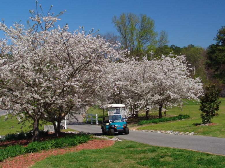 Golf Cart Paths Through Peachtree - 2409749 19767 