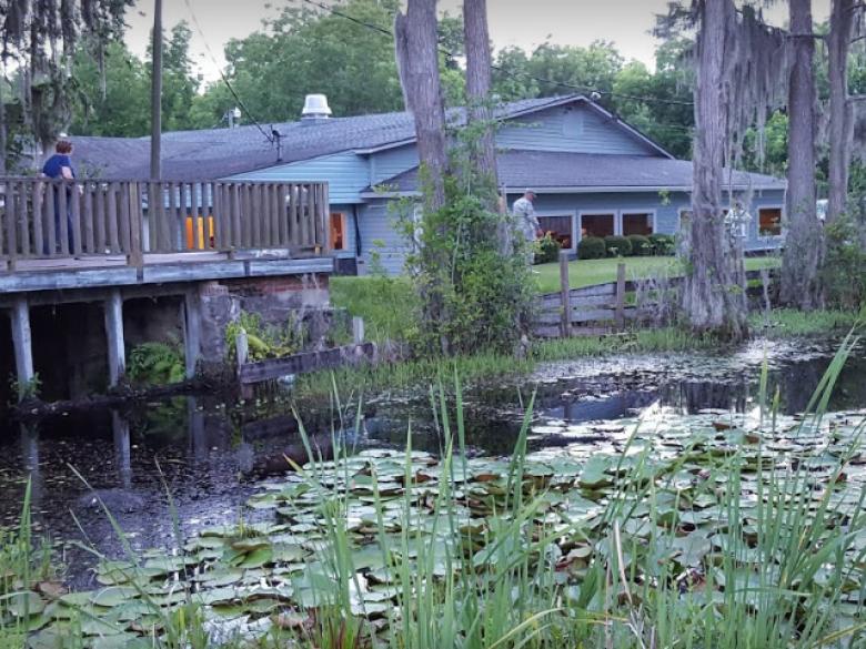 Ray's Millpond Official Tourism & Travel site Explore