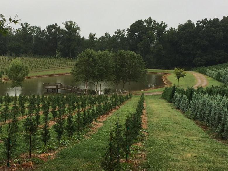 The Kinsey Family Farm Official Tourism & Travel site Explore