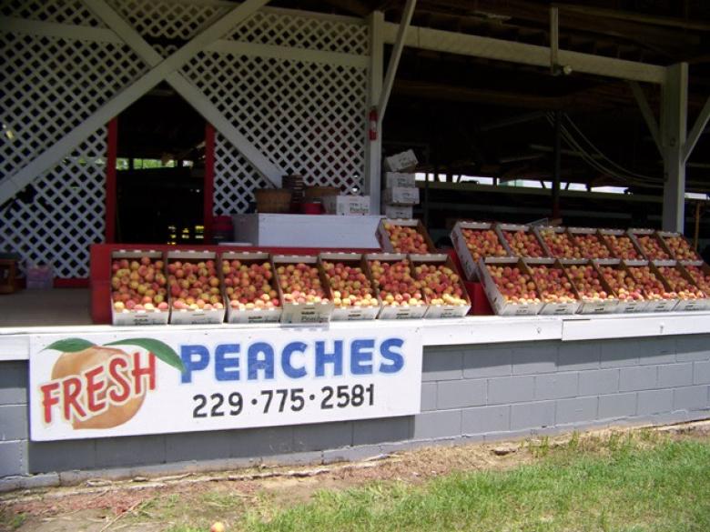 Lawson Peach Shed Official Tourism & Travel site Explore