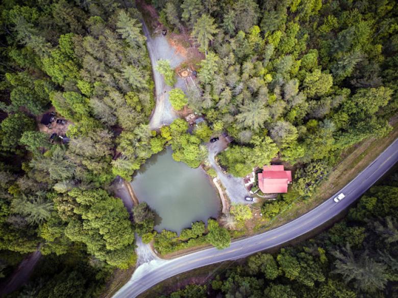 The Lilly Pad Village Official Tourism & Travel site