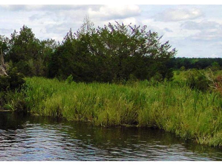 Little Satilla Wildlife Management Area Official Tourism