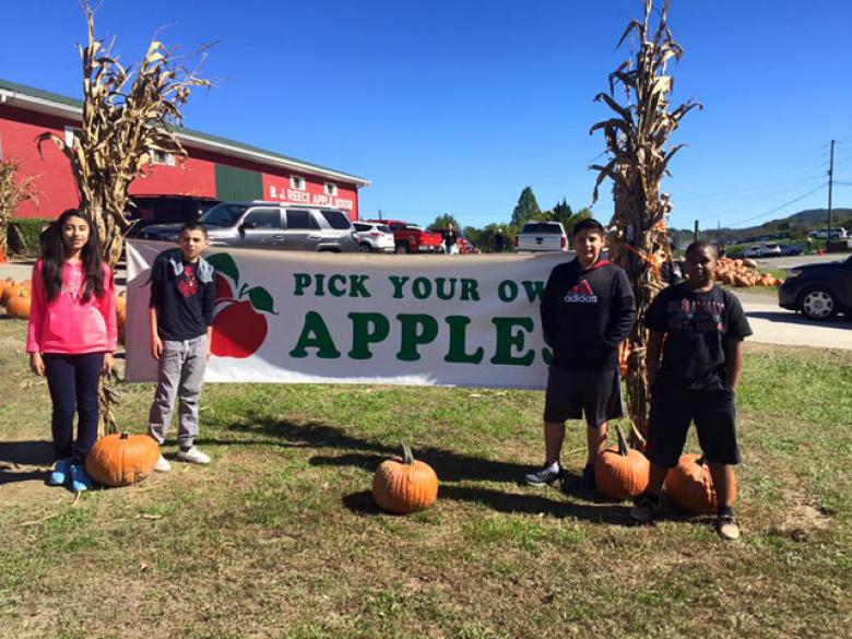 B.J. Reece Orchards Official Tourism & Travel site