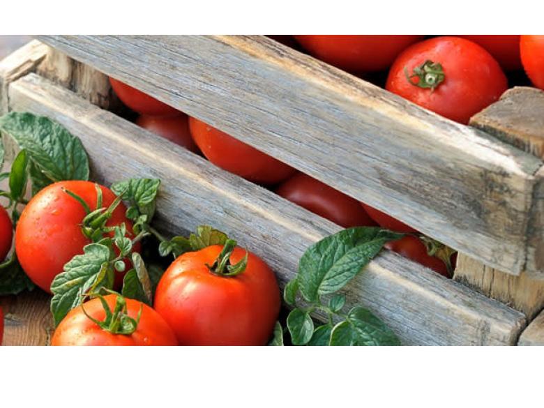 Peach World Official Tourism & Travel site