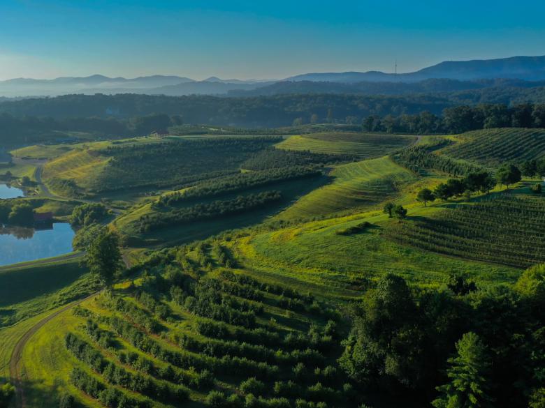 Mercier Orchards Official Tourism & Travel site Explore