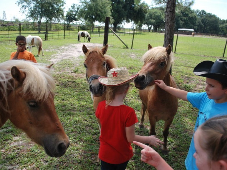 Newell Lodge & Resort Official Tourism & Travel site