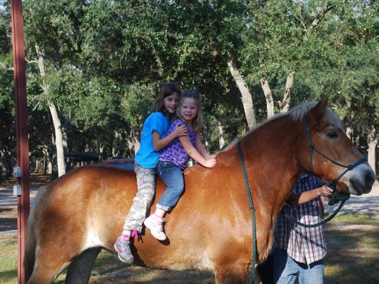 Newell Lodge & Resort Official Tourism & Travel site