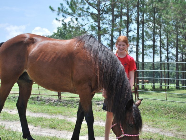 Newell Lodge & Resort Official Tourism & Travel site