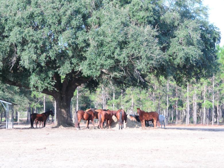 Newell Lodge & Resort Official Tourism & Travel site