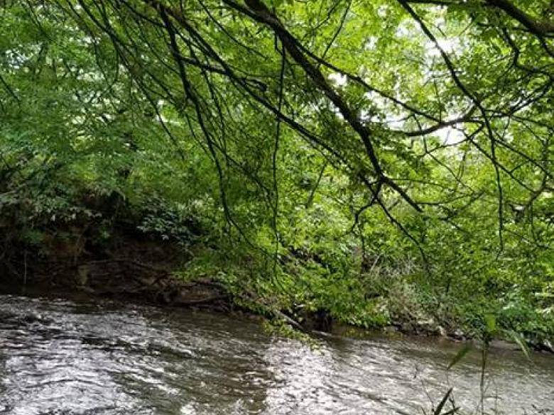 Nottely River Campground Official Tourism & Travel site