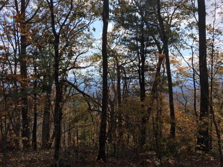 Nottely River Campground Explore