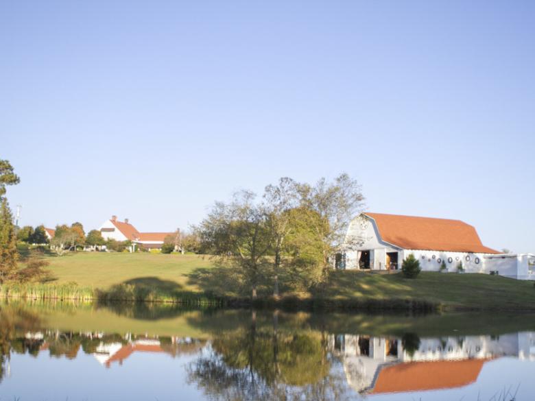 Sweet Meadow Farms at Beech Creek Official Tourism & Travel site Explore