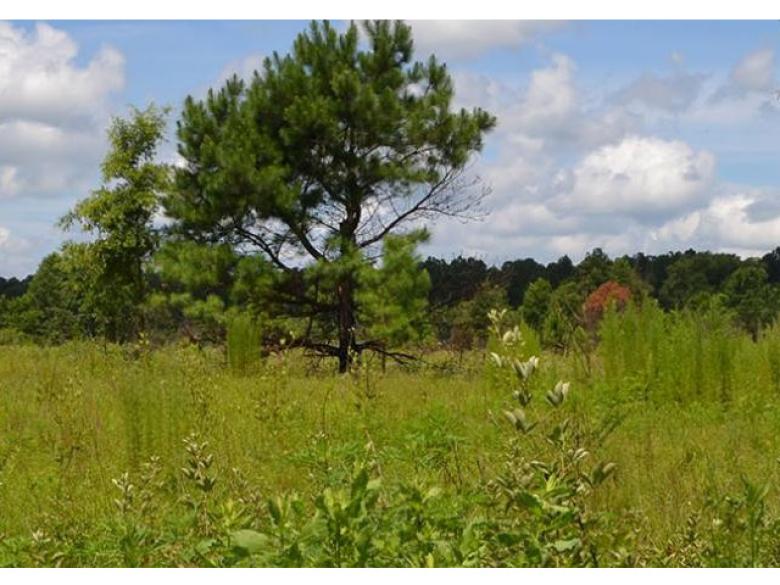 Mead Farm Wildlife Management Area Official Tourism & Travel