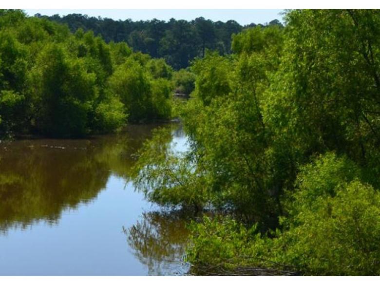 Soap Creek Wildlife Management Area Official Tourism & Travel site Explore